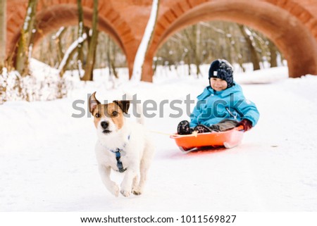 Dog pulling sled with happy child at winter park