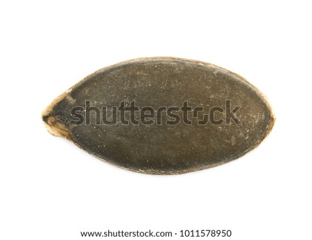 Single pumpkin seed isolated over the white background