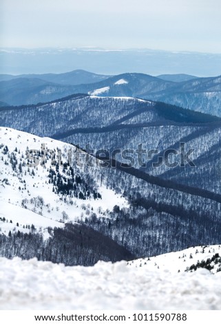 mountains in winter, Carpathians, Ukraine