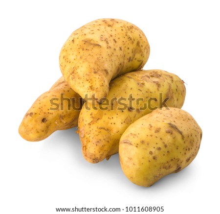 yellow potatoes on white background