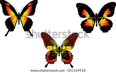 illustration with three red and yellow butterflies