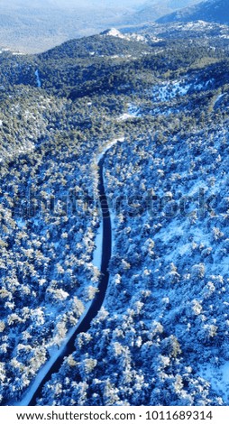 Aerial drone photo of road passing through snow covered forest