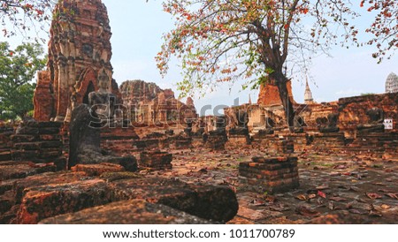 Buddha statues and pagoda in Wat Mahathat, the old Thai temple inside Ayutthaya, Thailand