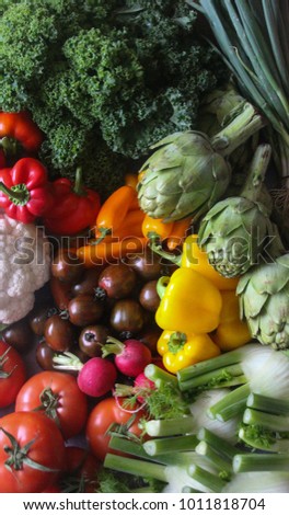 Colorful Fresh and Healthy picked  vegetables - Vegan , Vegetarian, Alkaline , Organic diet Concept
