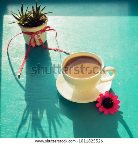 Valentine's Day, breakfast for your favorite - steaming cup of coffee stands on a green surface, next to a cactus with a heart symbol and a red flower in the rays of sun. A good start to the day.