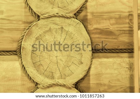 texture of tree stump, natral photo