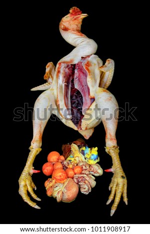 Chicken with contents of innards 