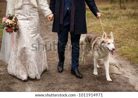Wedding. Couple with animal. Bride and groom walking with husky. 2018 - year of dog.
