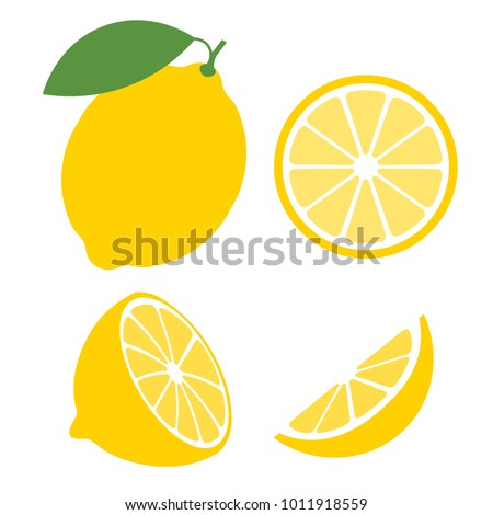 Fresh lemon fruits, collection of vector illustrations Royalty-Free Stock Photo #1011918559
