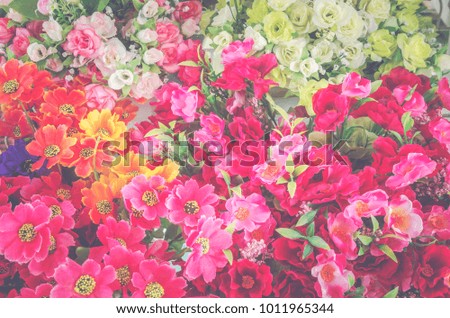rose flower background for Valentine's Day, vintage filter image