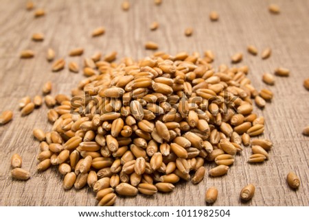 Triticum aestivum is scientific name of Wheat cereal grain. Also known as Trigo (portuguese and spanish). Pile of grains on the wooden table. Selective focus. Royalty-Free Stock Photo #1011982504