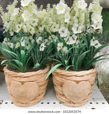 White flowers in brown pot with heart symbol , can use for background/garden/flower/valentines/wallpaper