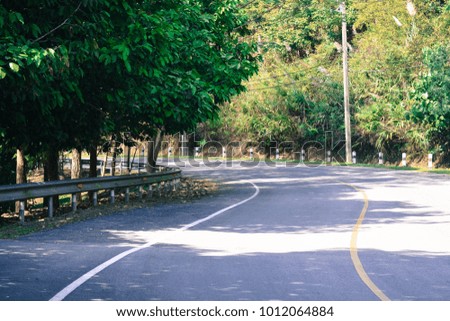 Road within a university in Thailand.