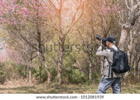 back view photo of old man backpacker taking photos Sakura or cherry tree flowers blossom  garden on the hill