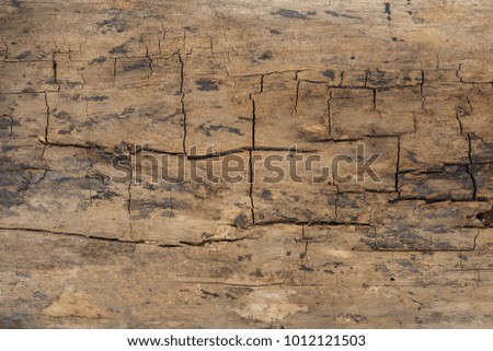 large and textured old wooden grunge wooden background stock photo image