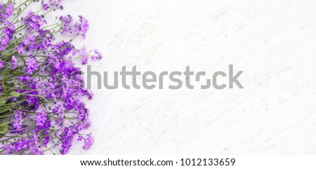 Beautiful Spring Floral background with copy space. Composition of purple flowers on white grunge wood background. Top view. Wide Web banner or greeting card for holiday mothers day, birthday, Easter