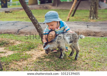 Small cute boy is feeding a small newborn goat.