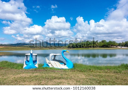 Swan boats Style on the lake in the Park with blue sky background.
