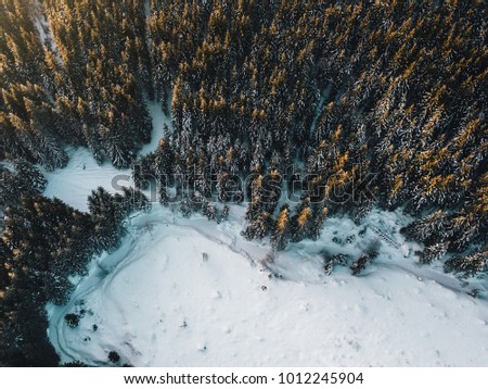 Aerial view on pine forest.snow covered trees from above at sunrise