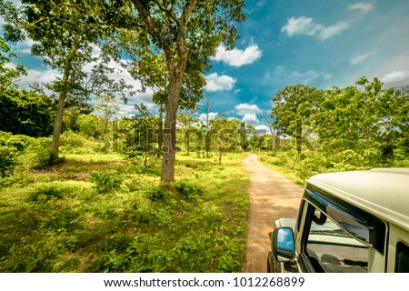 Exploring wild life and amazing nature landscape at jeep safari in Yala National Park, Sri Lanka Royalty-Free Stock Photo #1012268899