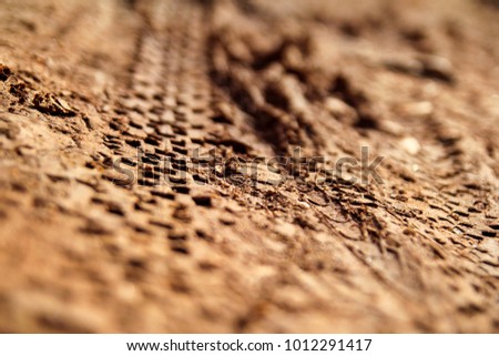 Bike tire tracks on wet muddy trail royalty, road, abstract background, texture material / Tyre track on dirt sand or mud, retro tone, grunge tone, drive on sand, off road track.