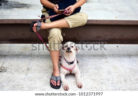 Picture of woman using the phone and hold the dog harness lanyard. 
