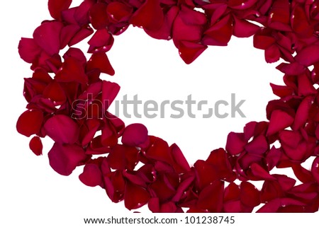 Red rose petals frame