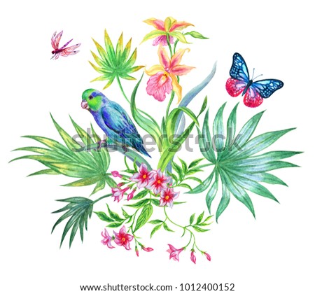 Composition from tropical plants and flowers with parrot and butterfly, watercolor pattern on a white background.