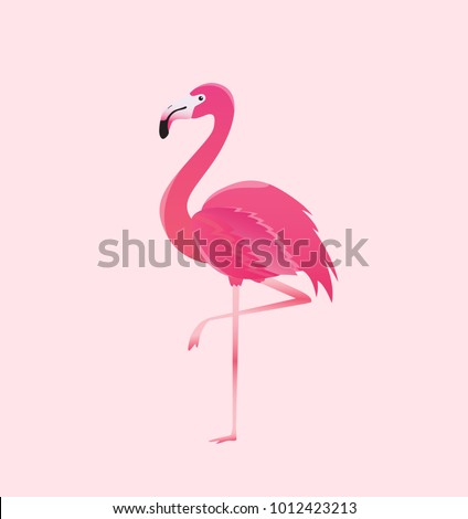 Flamingo bird illustration design on background Royalty-Free Stock Photo #1012423213