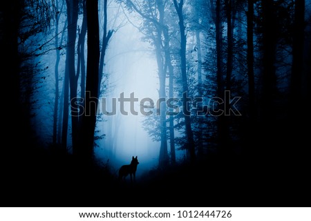 wolf silhouette in dark fantasy forest
