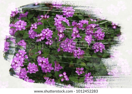 dreamy and abstract image of flowers. double exposure effect with watercolor brush stroke texture