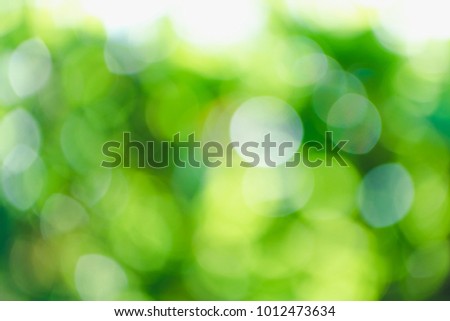 Blur smooth green background with bokeh of nature sun light through the tree and leaves for natural background Royalty-Free Stock Photo #1012473634