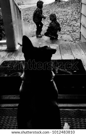 Black and white image of a jack russel terrior dog keeping an eye on the family’s two little girls playing in the rain.