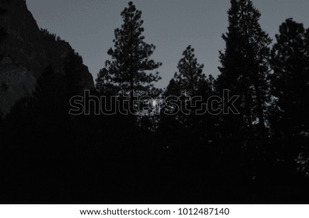 Amazing overlook views at Yosemite National Park