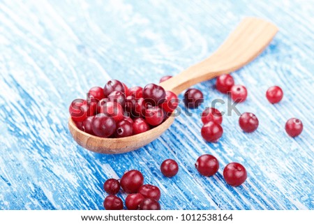 Harvest fresh red cranberries in wooden spoon, selective focus.