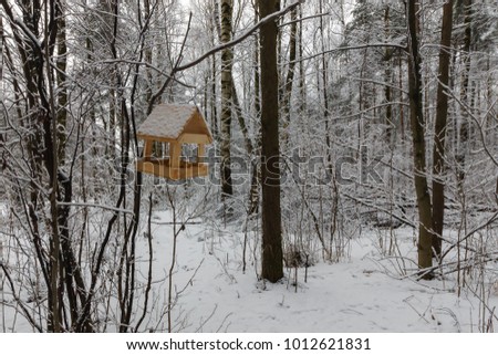 Feeder for squirrels and birds in a beautiful snow-covered winter forest