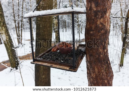Feeder for squirrels and birds in a beautiful snow-covered winter forest