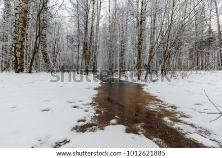 A beautiful snow-covered winter forest. Ice lake and forest streams
