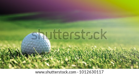 Green grass with golf ball close-up in soft focus at sunlight. Sport playground for golf club concept - wide landscape as background for your lettering about golf playing. Royalty-Free Stock Photo #1012630117