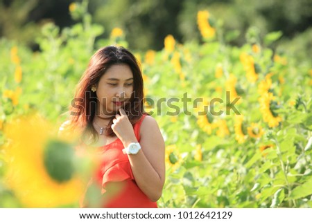 Sunflower field with clear summer sky