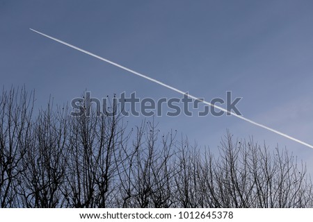 View of an airplane track above top branches silhouettes. Blue sky background. White oblique trace. Abstract figure with a white line and part of leafless trees. Picture taken in the evening.  