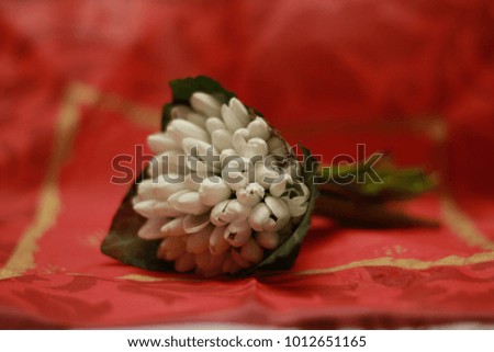 Bouquet of snowdrops on a red background