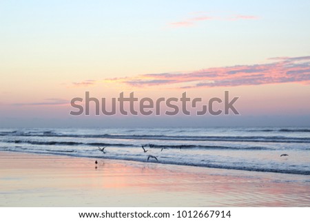 Stunning sandy beach sunrise with pastel colors and bright orange on an island in South Carolina, USA