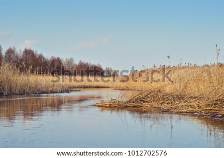 Blue sky over river banks with dry reeds and reflection in the water