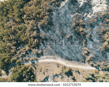 Aerial view of fire in a burnt mountain forest