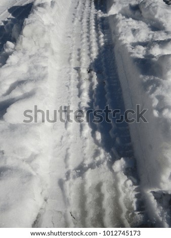 Tire tracks in the snow