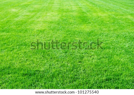 Clean empty football grass field