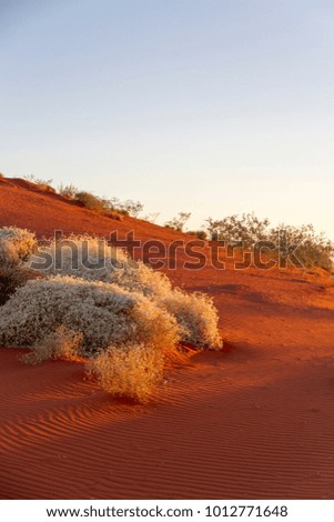Red sand dune, Pilbara, Western Australia