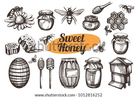 Vector set with hand drawn honey items