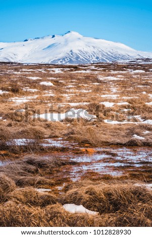 Concept of wildlife, forage, beast track, yellow Hayfield, countryside, white snowbound ground, haycock. The dried grass field or hay field with snow-capped mountain background.